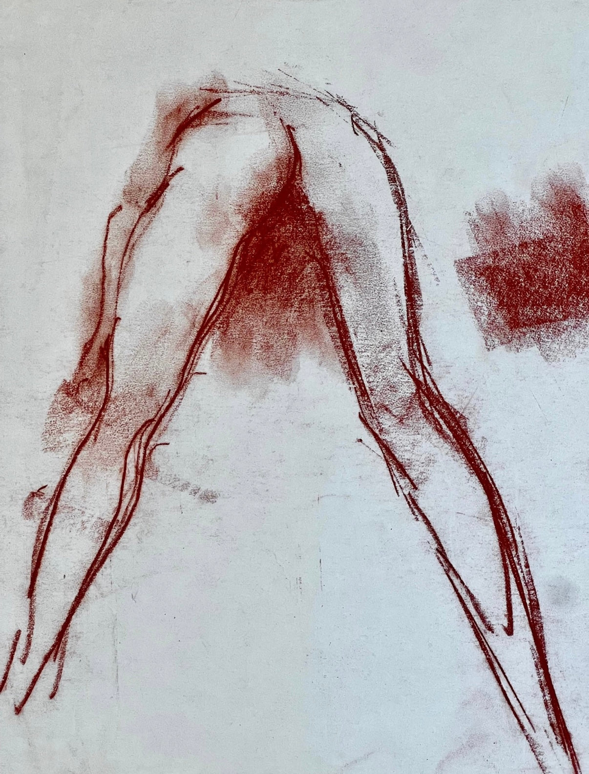 An exotic study in sanguine charcoal, Peter Collins ARCA