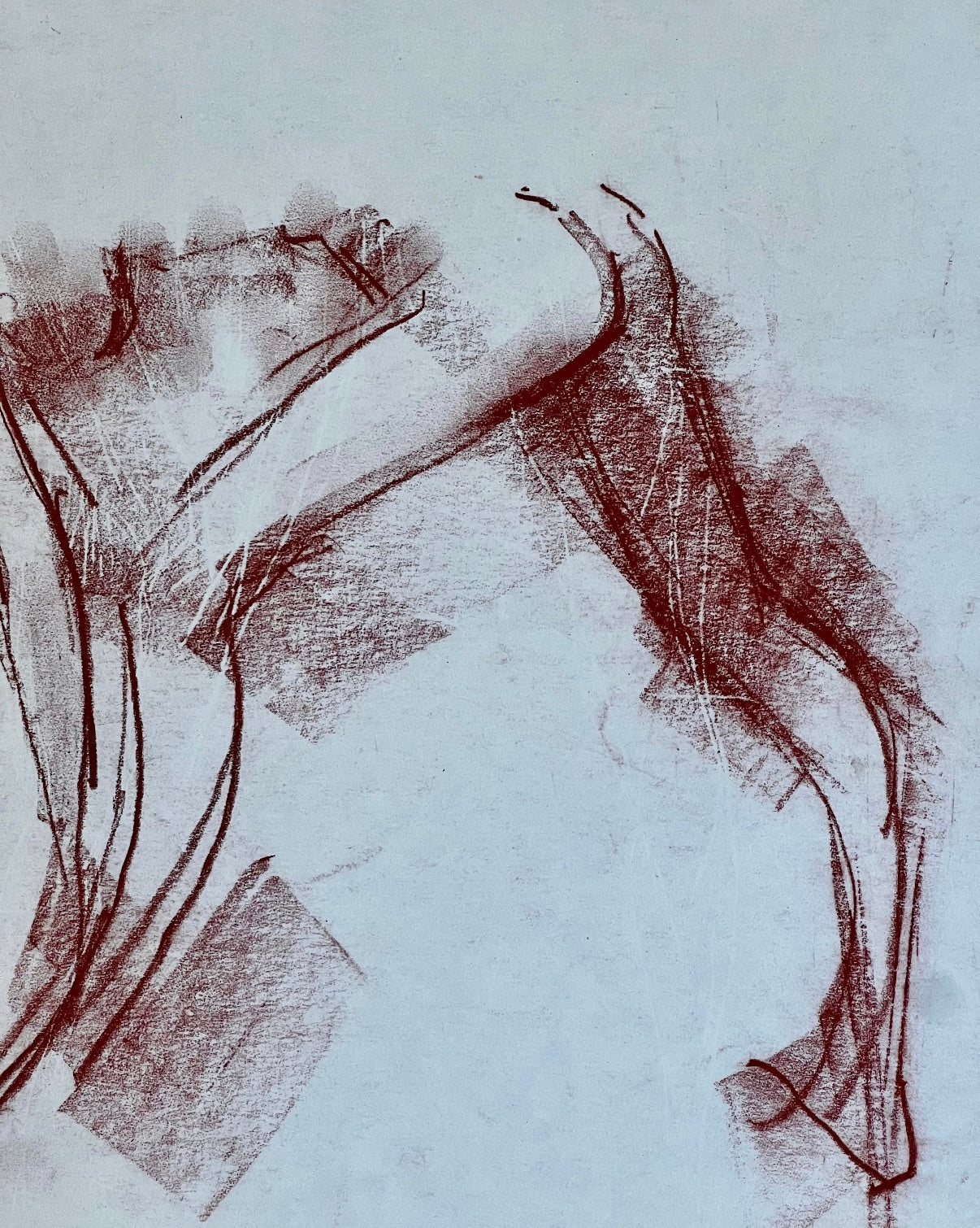 An exotic study in sanguine charcoal, Peter Collins ARCA